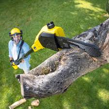 Best Lawn Pest Prevention  in Fort Pierce South, FL